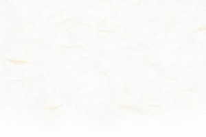 top_sec02_bg